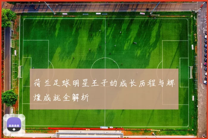 荷兰足球明星王子的成长历程与辉煌成就全解析