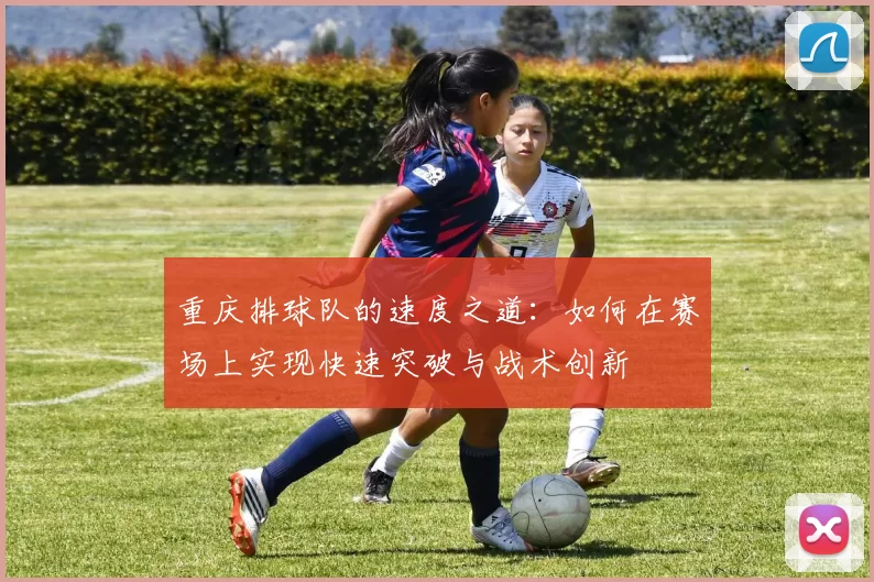 重庆排球队的速度之道：如何在赛场上实现快速突破与战术创新