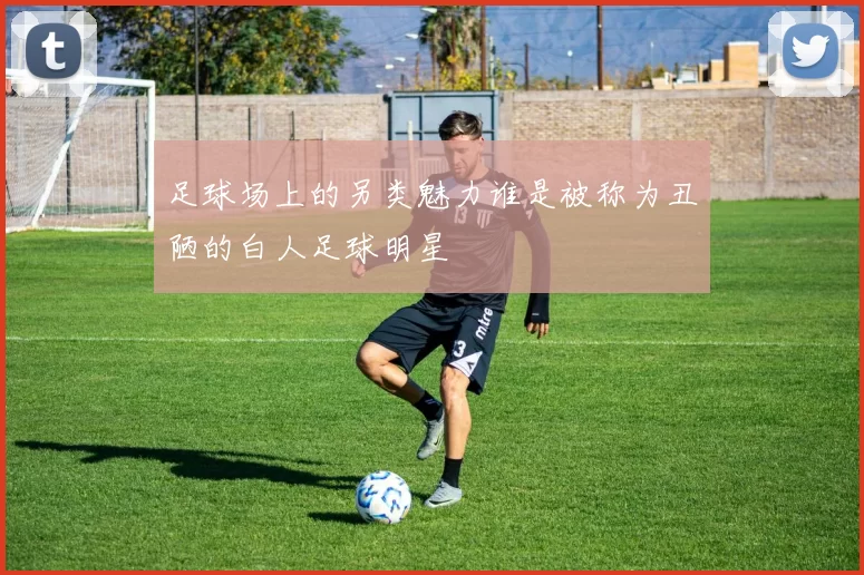 足球场上的另类魅力谁是被称为丑陋的白人足球明星