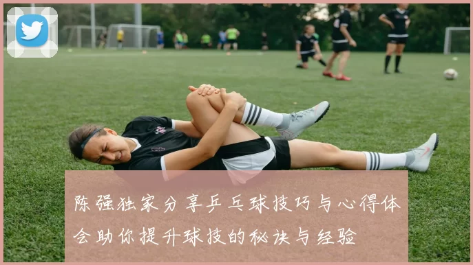 陈强独家分享乒乓球技巧与心得体会助你提升球技的秘诀与经验