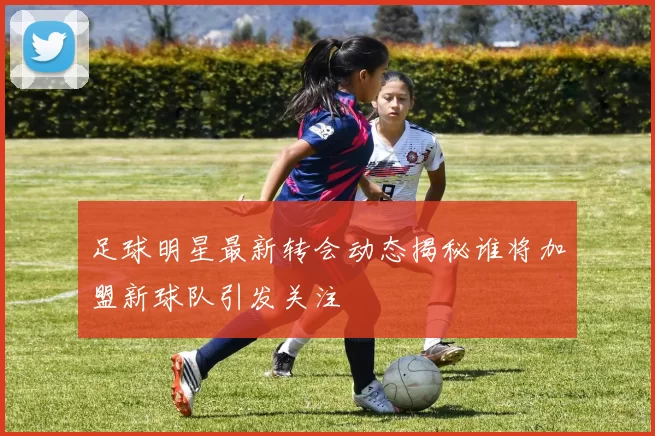 足球明星最新转会动态揭秘谁将加盟新球队引发关注