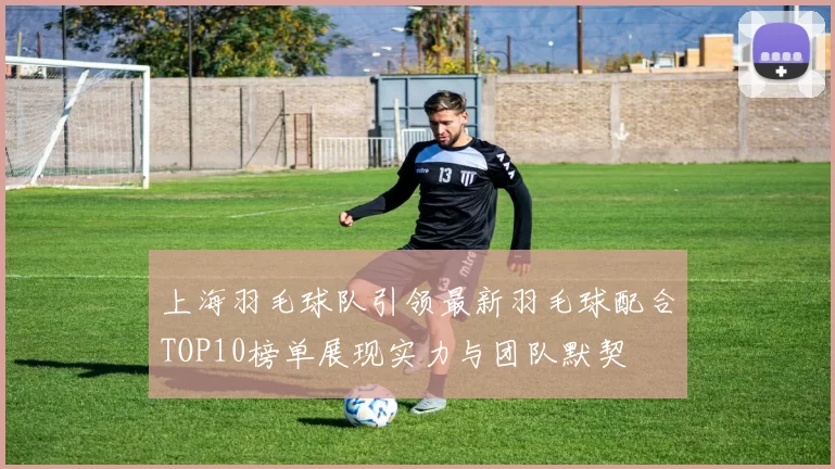 上海羽毛球队引领最新羽毛球配合TOP10榜单展现实力与团队默契
