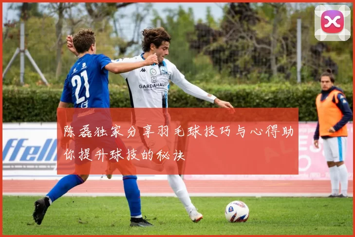 陈磊独家分享羽毛球技巧与心得助你提升球技的秘诀