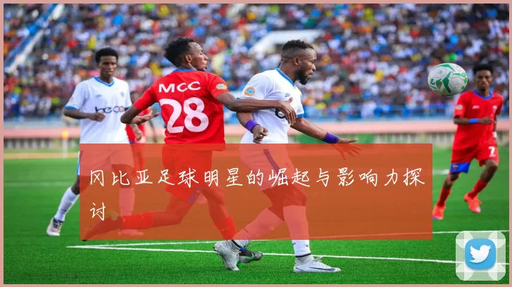 冈比亚足球明星的崛起与影响力探讨