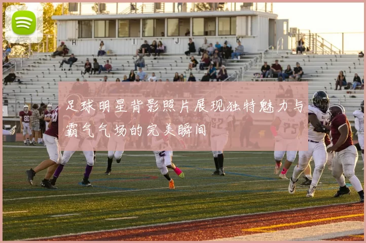 足球明星背影照片展现独特魅力与霸气气场的完美瞬间