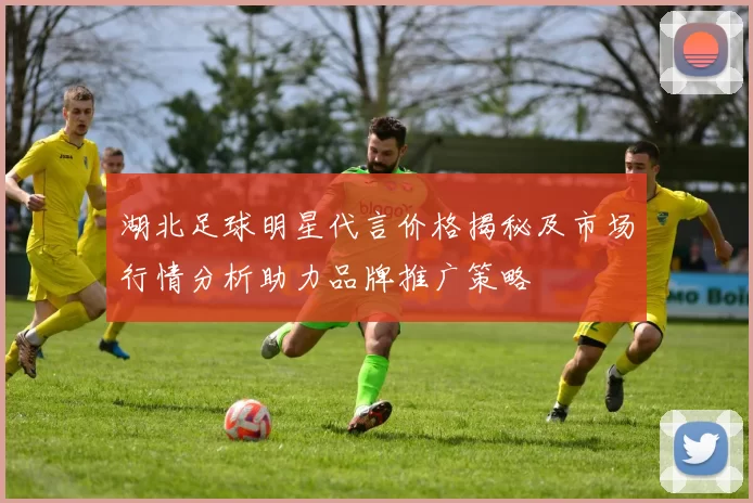湖北足球明星代言价格揭秘及市场行情分析助力品牌推广策略