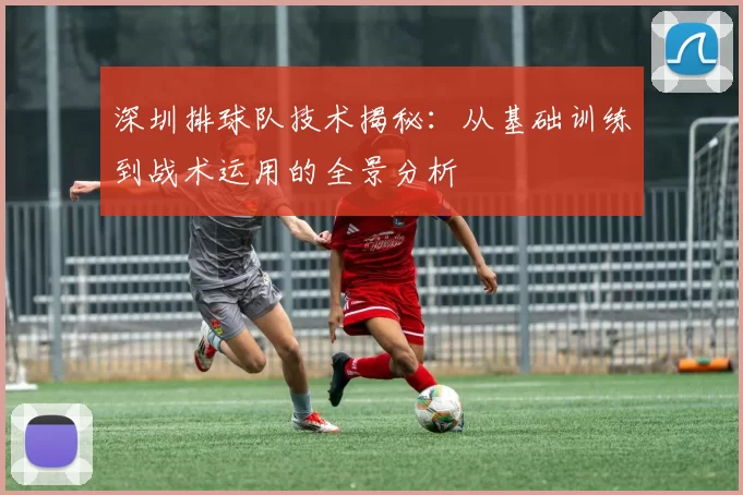 深圳排球队技术揭秘：从基础训练到战术运用的全景分析