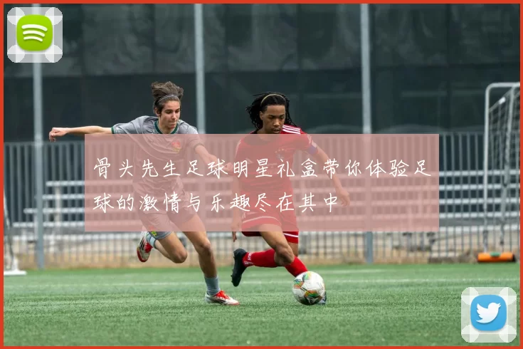 骨头先生足球明星礼盒带你体验足球的激情与乐趣尽在其中