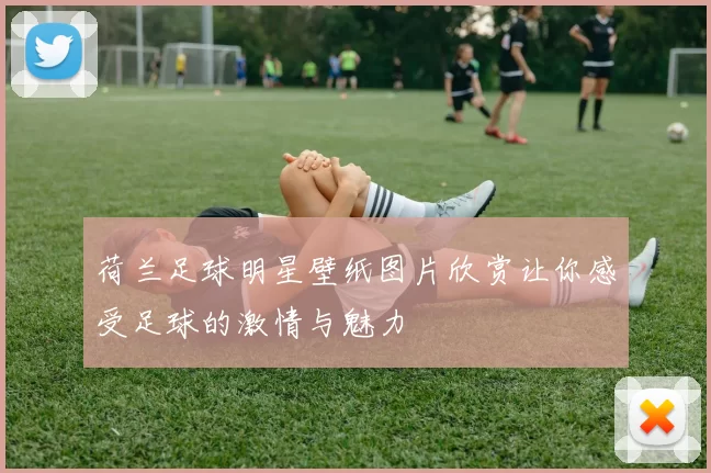荷兰足球明星壁纸图片欣赏让你感受足球的激情与魅力
