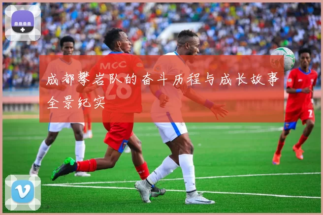 成都攀岩队的奋斗历程与成长故事全景纪实