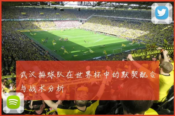 武汉排球队在世界杯中的默契配合与战术分析