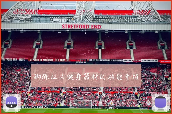 脚踩拉力健身器材的功能介绍