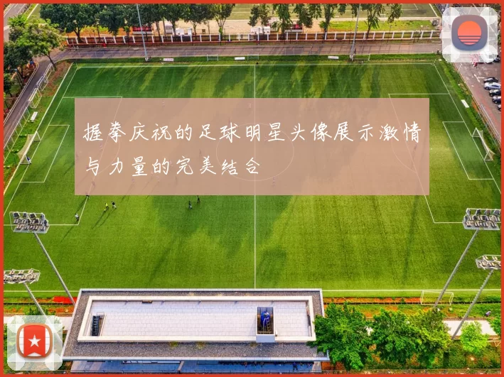 握拳庆祝的足球明星头像展示激情与力量的完美结合