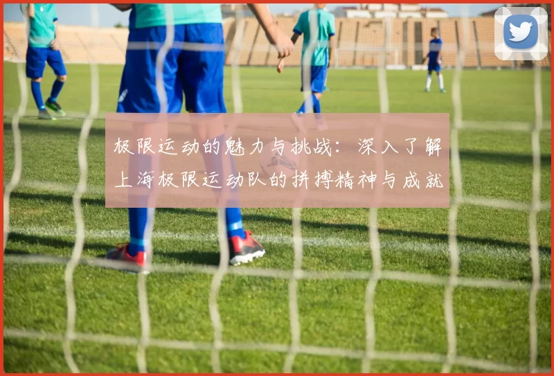 极限运动的魅力与挑战：深入了解上海极限运动队的拼搏精神与成就