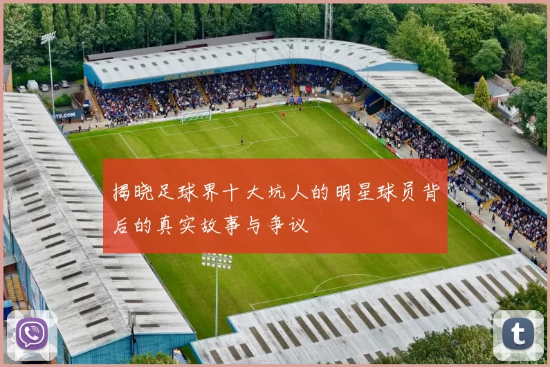 揭晓足球界十大坑人的明星球员背后的真实故事与争议